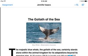 Turnitin screenshot 1