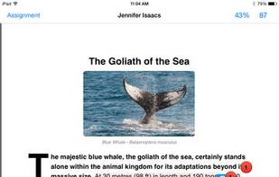 Turnitin screenshot 2