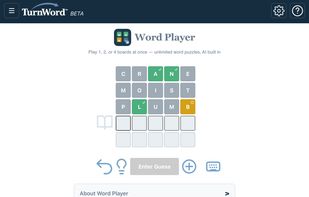 TurnWord Word Player