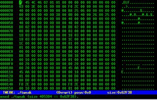 Tweak hex editor screenshot 1