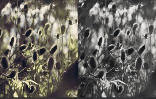 TwinPixels screenshot 3