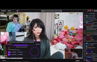 Twitch VOD Downloader screenshot 1