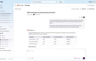 A thread in a shared Space: an AI agent analyzes campaign data across Shopify, Meta, and Klaviyo and posts the results where the whole team can see them