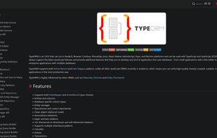 TypeORM screenshot 1