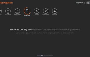 Typing interface og TypingBeast