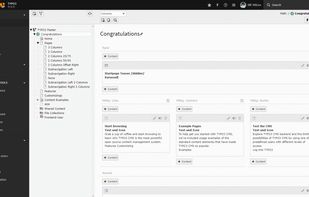The TYPO3 v9 backend. From the left: 1st column are the modules; 2nd column is the page tree and 3rd column usually display the editable contents of the selected page.