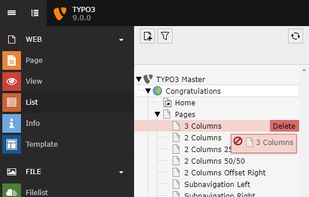 The TYPO3 v9 backend modules on the left column and page tree on the right column.