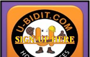 U-Bidit.com screenshot 2