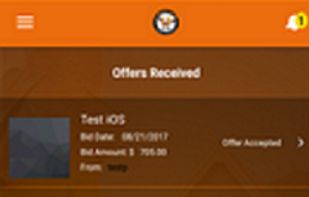 U-Bidit.com screenshot 1