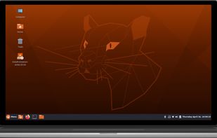 Ubuntu Cinnamon screenshot 1
