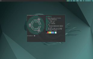 Ubuntu Sway Remix screenshot 1