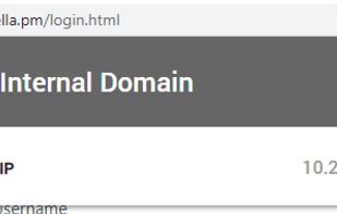 Internal IPs are detected and shown