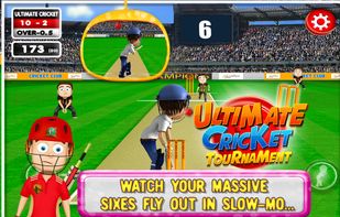 Ultimate Cricket Tournament screenshot 2