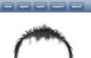 FlashFace screenshot 2