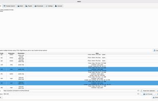 You can use two formats or more to download a video