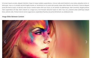 Ultimate Responsive Image Slider screenshot 1