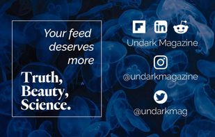 Undark Magazine screenshot 1