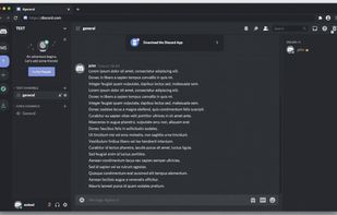 Undiscord screenshot 1