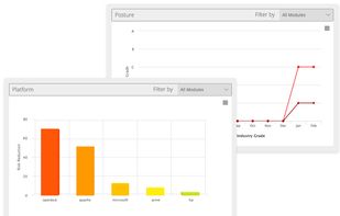 Risk Posture Bar Chart