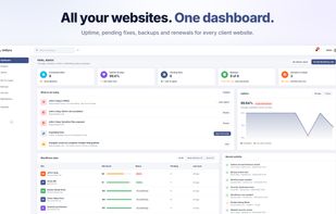 Get a complete overview of your WordPress websites, audits, backups, alerts, maintenance activity and project status from a single dashboard.
