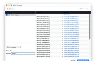 Multi-rename with a live preview of every resulting name before anything is written, and one undo for the whole batch.
