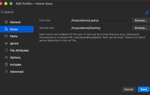Profile editor with local and remote (SSH) synchronization roots.