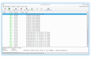 Unison File Synchronizer screenshot 1