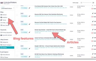 UnlimitedVisitors.io screenshot 3