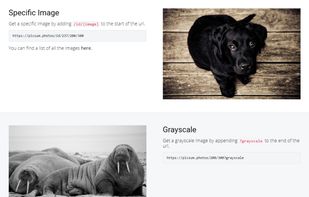 Lorem Picsum screenshot 1