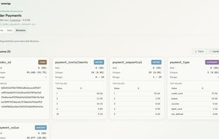 Inspect column types, null values, uniqueness, ranges, samples, and value distributions at a glance.
