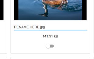 Rename a File from within the archive