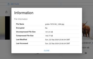 File information dialog