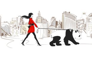 UP2CHOICE screenshot 1