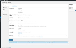 Updater WordPress Plugin by BestWebSoft screenshot 1