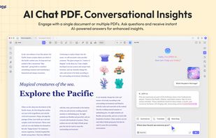 AI chat PDF