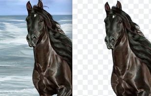 Remove Background from images