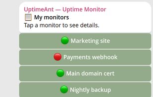 UptimeAnt — Uptime Monitor screenshot 1