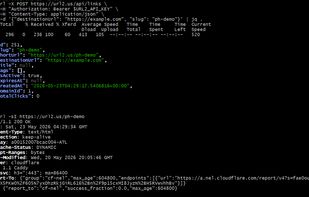 Url2.us screenshot 3