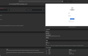 Analysis of a website