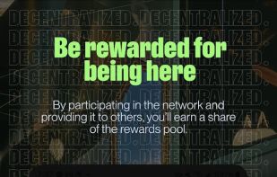 A user can earn money by acting as a provider for other users