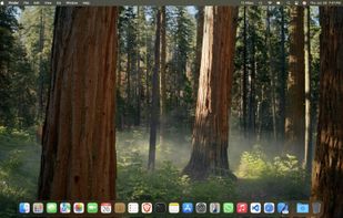 USB Connection Information screenshot 3