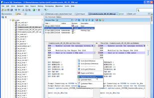 use SQL Developer screenshot 1