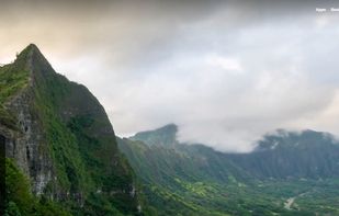 UseDelight screenshot 3