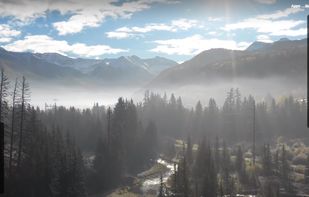 UseDelight screenshot 2