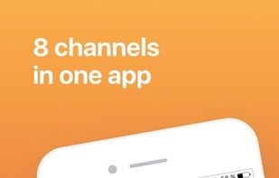 Usedesk screenshot 1