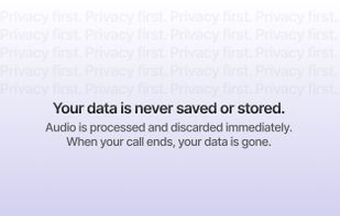 UseInterpreter screenshot 2