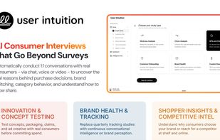 User Intuition | AI consumer interviews that go beyond surveys