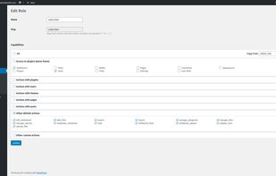User Role by BestWebSoft screenshot 2