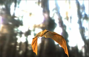 UserBenchMark screenshot 2