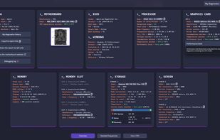Diagnostic report (system info)